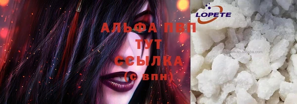 гидра Новодвинск