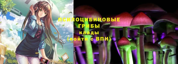 гидра Нягань