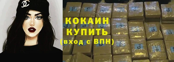 гидра Новодвинск