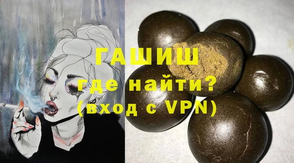 гидра Новодвинск