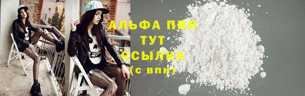 гидра Новодвинск
